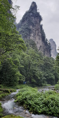 Golden Whip Stream Trail with clouds at Zhangjiajie Natural Forest Park, China