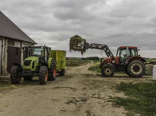 Agricultural machinery and equipment.The tractor with the loader loads a bale of silage in the distributor of mixed fodders for cows.Podlasie, Poland.