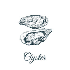 Oyster sketch vector illustration.  - obrazy, fototapety, plakaty