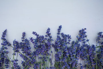 Crédence de cuisine en plexiglas Lavande Fresh lavender flowers on blue wood table background free space