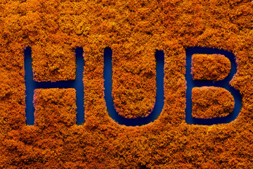 Word writing text Hub in orange moss. Business concept for computer network. Background.Moss texture