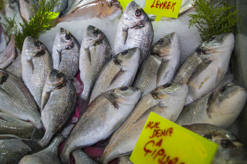 Fresh fish at a fish market - Food background