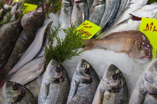 Fresh fish at a fish market - Food background