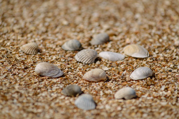 Sand texture, background
