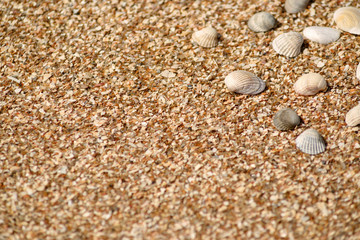 Sand texture, background