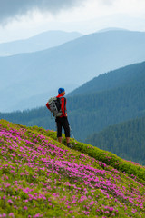 Adventurer stands on the mountain trail