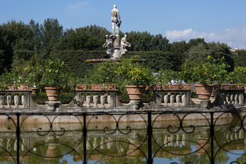 Fototapeta premium Boboli garden in Florence