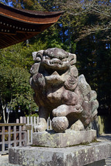 Fototapeta na wymiar Shrine Tada jinja-5