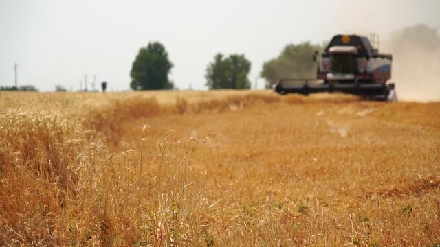 Blurred сombine harvester for harvesting wheat. Slow motion