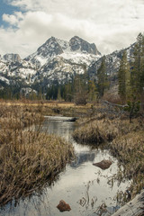 Vertical Mountainscape