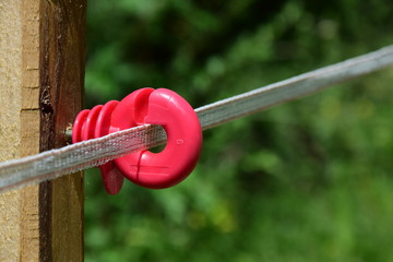 Isolator in Rot, elektrischer Weidezaun