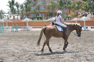 caballo