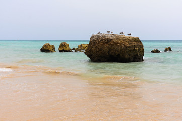 Coastline in Praia de los Tres Castelos, beach in Portimao, Algarve (Portugal)