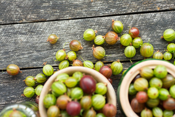Fresh gooseberries in a clay bowl 