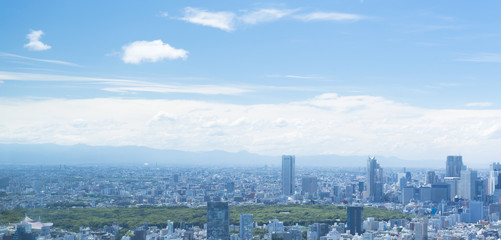 Obraz premium 東京風景