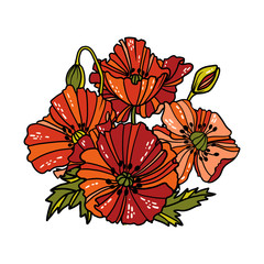 Linear poppy flowers. Vector illustration