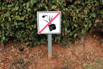 No picking flowers sign mounted on metal pole in front of dark green hedge in winter garden with fallen leaves and water sprinkler