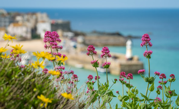 Colorful flowers and St Ives