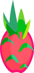 Dragon Fruit Isolated Vector