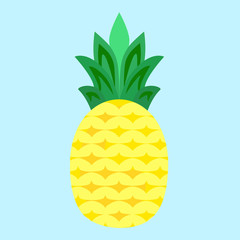 Pineapple Fruit Vector