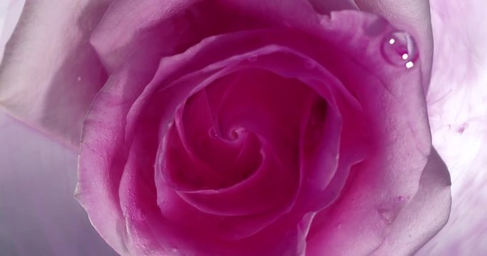 Top view of the colorful spreading paint on a beautiful spinning flower.