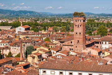 Aerial view of Lucca, in Tuscany; the tower on the right is called 