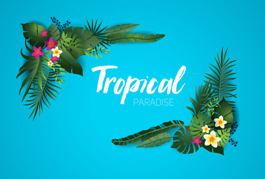 Nature tropical card