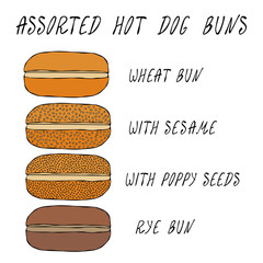 Set of Assorted Hot Dog Buns. Wheat Bun with Sesame, Poppy Seeds, Rye Bun. For Fast Food, Restaurant or Bar Menu. Hand Drawn High Quality Clean Vector Realistic Illustration. Doodle Style.
