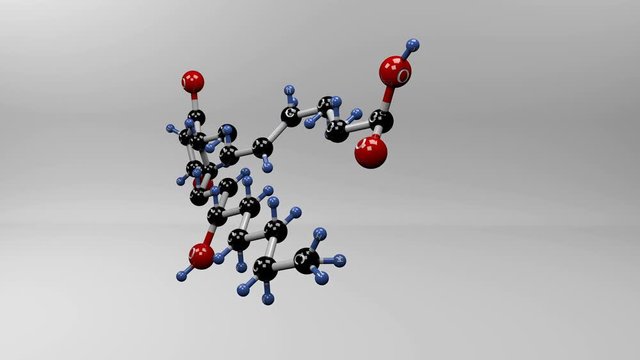 Prostaglandin E2 molecule. Molecular structure of PGE2, physiologically active lipid compound. 