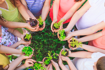 People Hands Cupping Plant Nurture Environmental