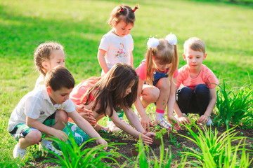 Fototapeta premium Children's hands planting young tree on black soil together as the world's concept of rescue