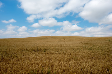 Camino de Santiago as it passes through Navarra