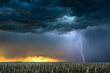 Lightning storm over field in Oklahoma - Powered by Adobe