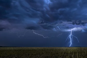 Muurstickers Lightning storm over field in Oklahoma © cherylvb