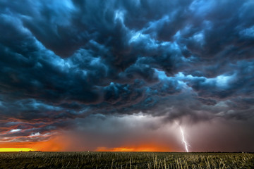 Lightning storm over field in Roswell New Mexico. - obrazy, fototapety, plakaty