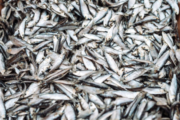Fish sprats at the fish market. Fresh organic fish.