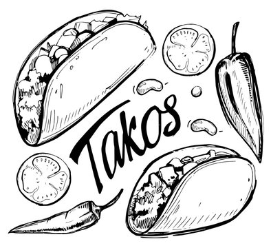 Sketch of taco Stock Vector  Adobe Stock