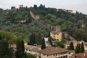 Fototapeta na wymiar Tuscany landscape with city wall and greenery