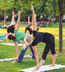 A group of young people do yoga in the Park at sunset.