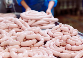 Making sausages, food production in the factory.