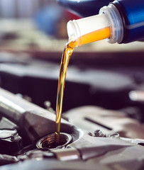 Motor oil pouring to car engine.