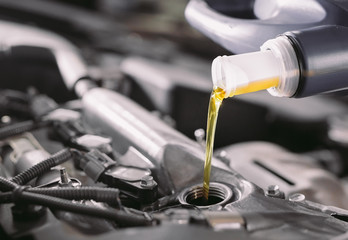 Motor oil pouring to car engine.