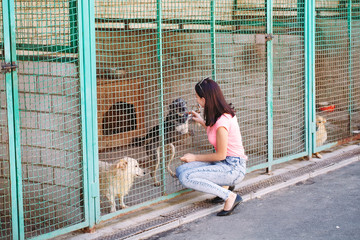 Girl volunteer in the nursery for dogs. Shelter for stray dogs.