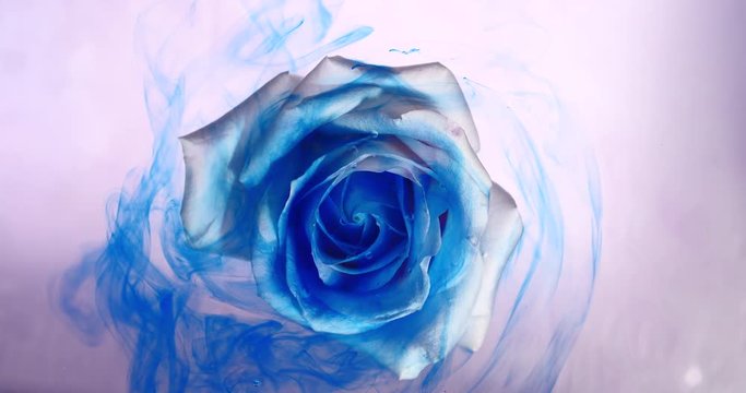 Top view of the colorful spreading paint on a beautiful spinning flower.