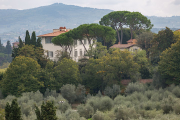Fototapeta na wymiar Tuscany landscape with a house and greenery