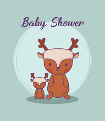 Baby shower design with cute deers over blue background, colorful design. vector illustration
