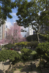 Japanese Square in Curitiba Parana Brazil.