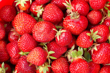 strawberry background red fruits agrigulture fresh organic juicy food