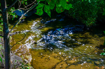 Close-up of a covered shallow stream flowing over rocks