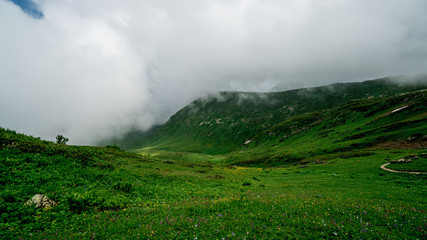 mountains in the fog